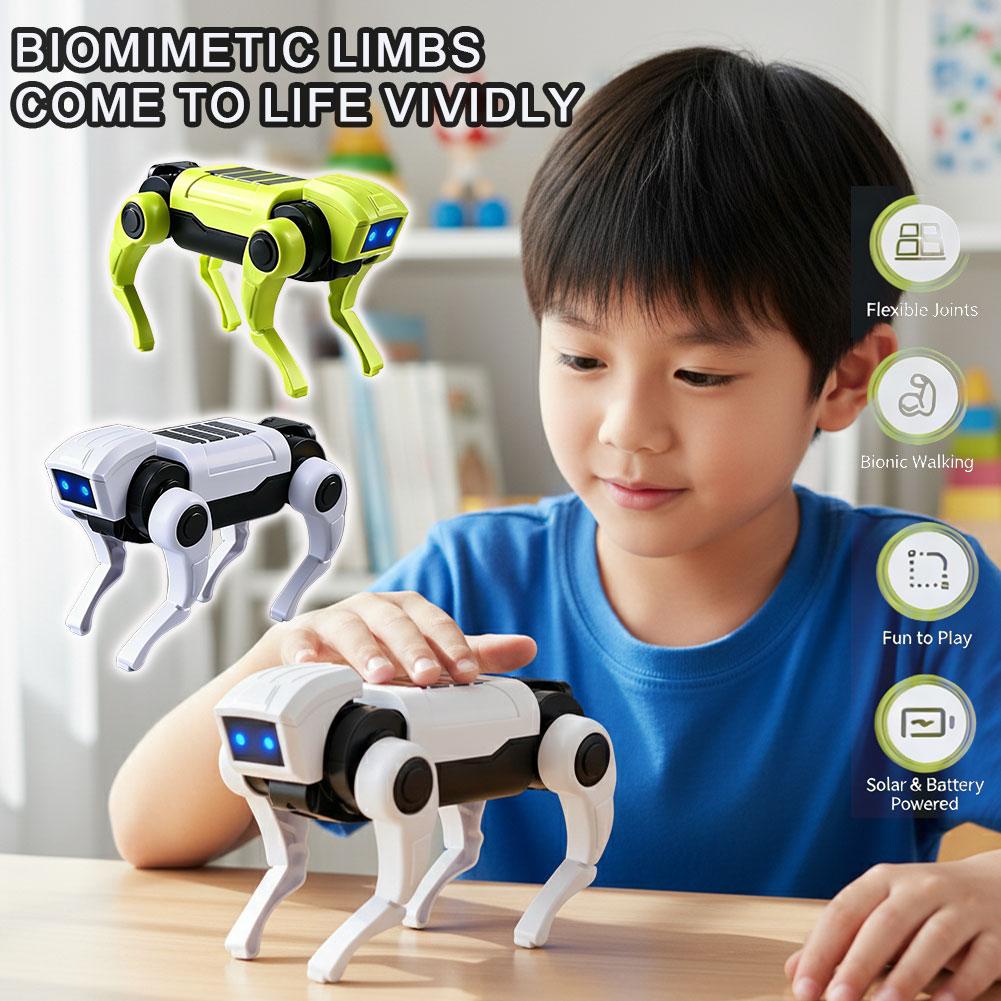 Diy Electronics For Kids - DIY Montaj RC Robot Köpek Oyuncak